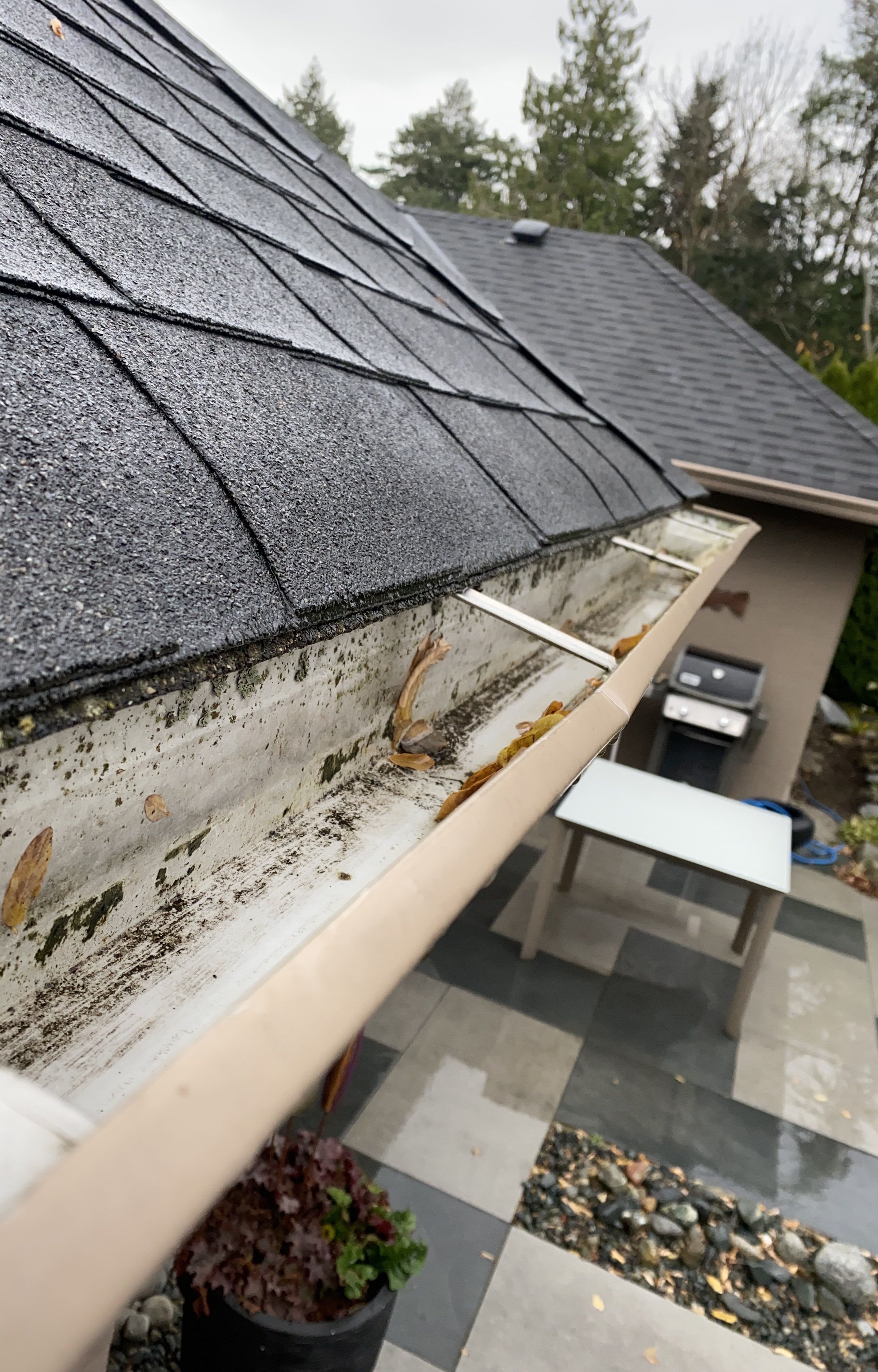 Gutter cleaning after photo 2