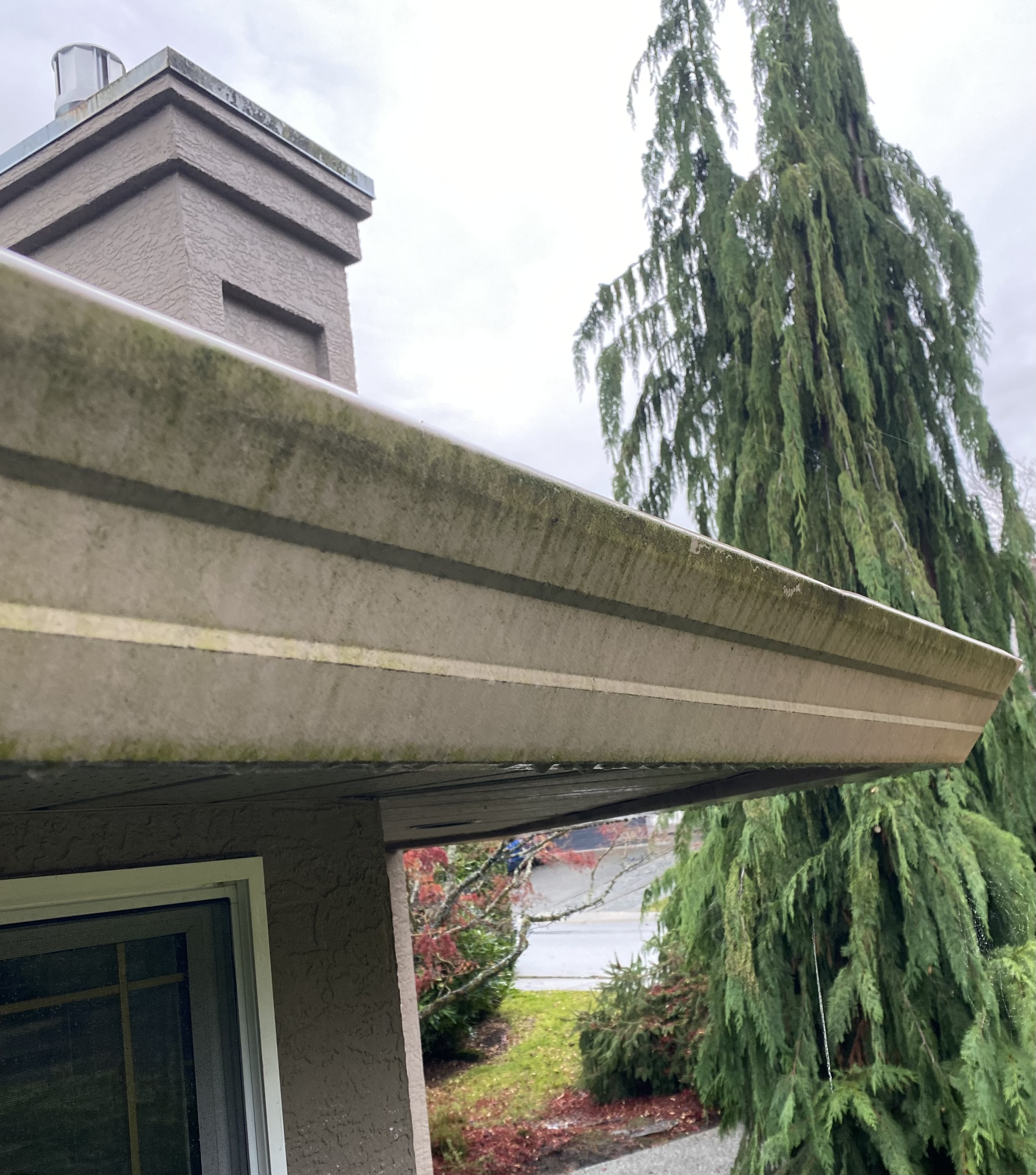 Gutter cleaning before photo 1