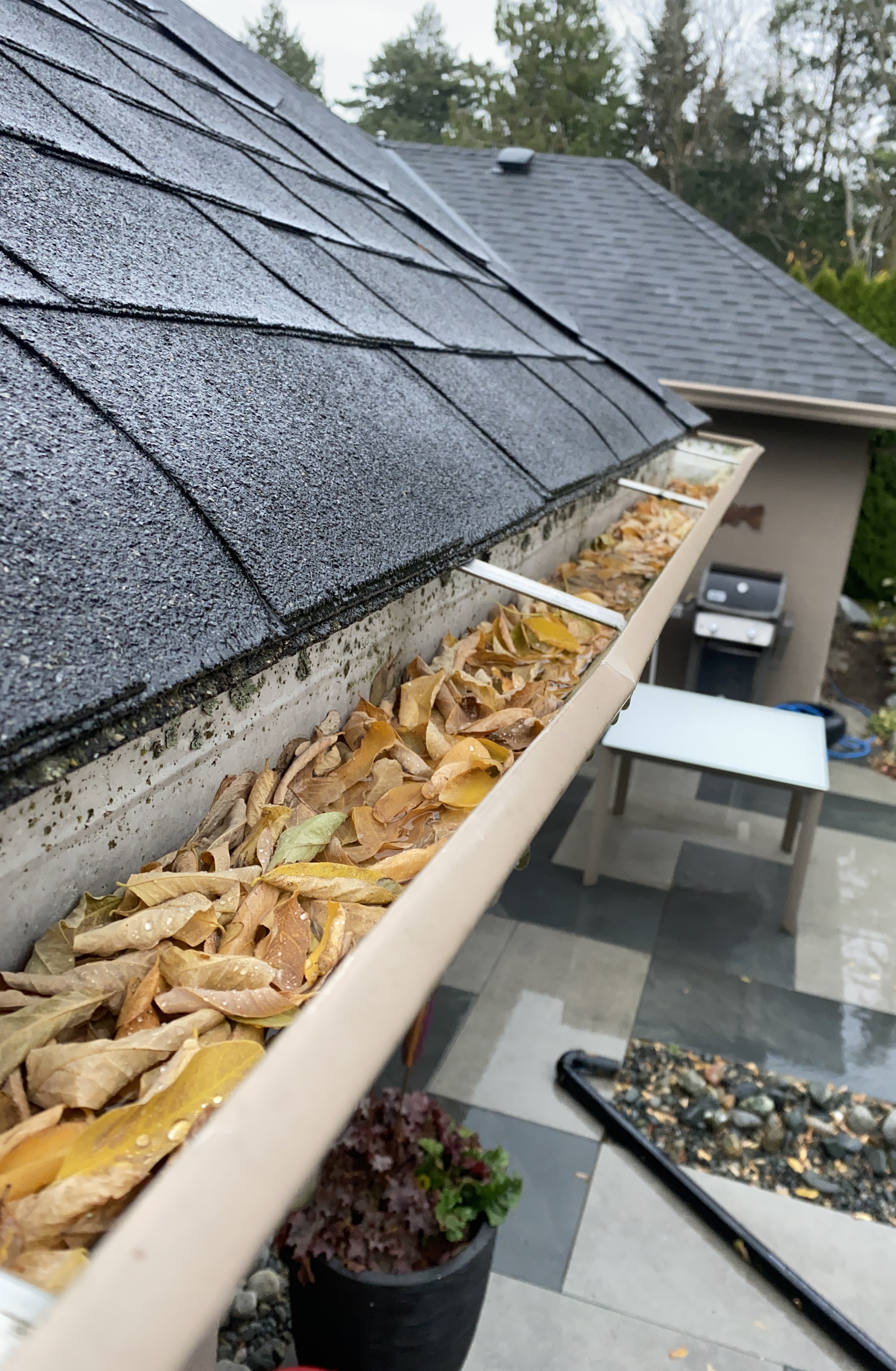 Gutter cleaning before photo 2